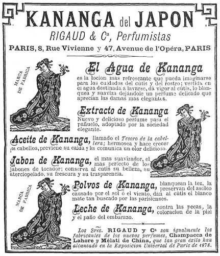 Kananga de Japón